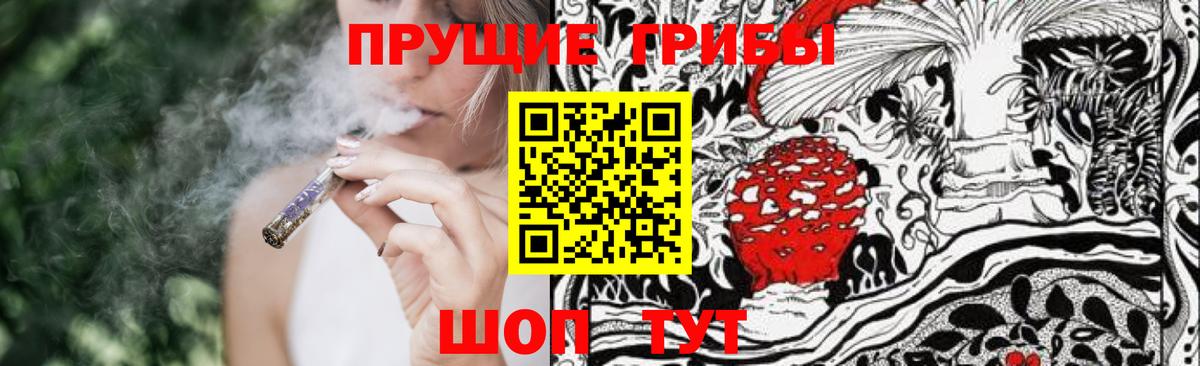 Галлюциногенные грибы Magic Shrooms Черногорск